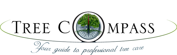 Logo TreeCompass Tree Compass Jos Schenk Boomverzorger Tree Technician Treeworker